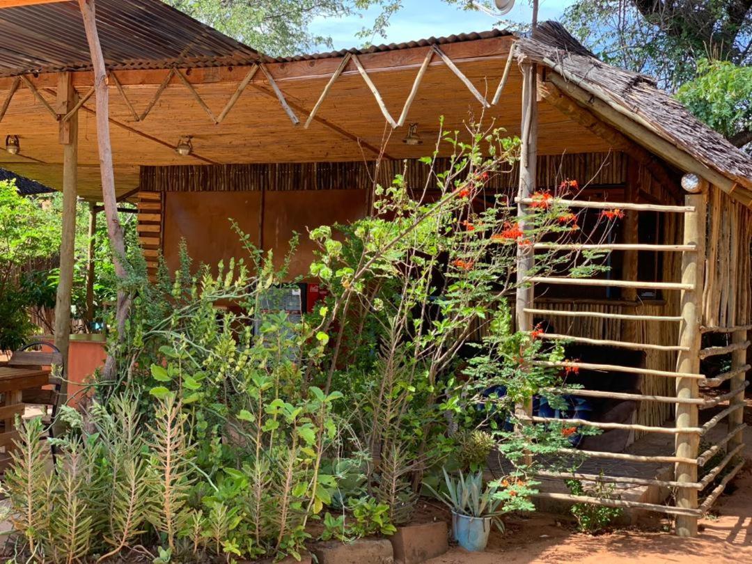 Jungle Breeze Home Stay Касане Екстер'єр фото