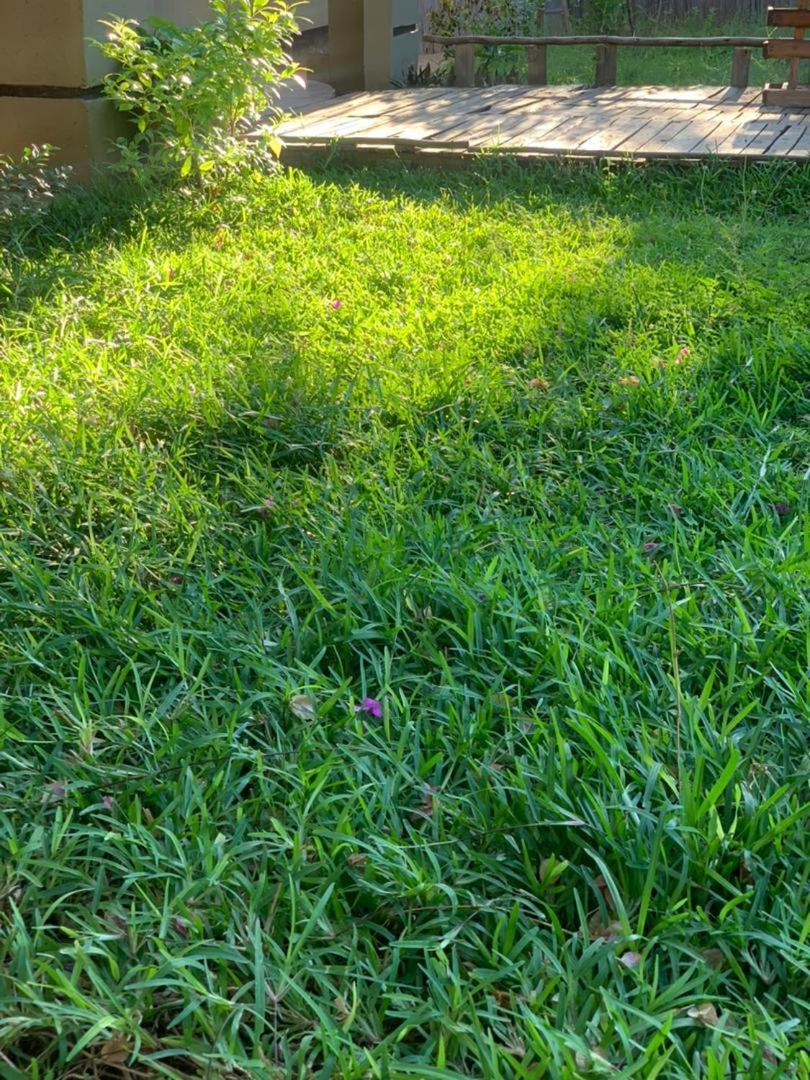 Jungle Breeze Home Stay Касане Екстер'єр фото