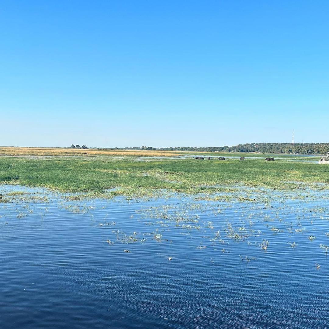 Jungle Breeze Home Stay Касане Екстер'єр фото